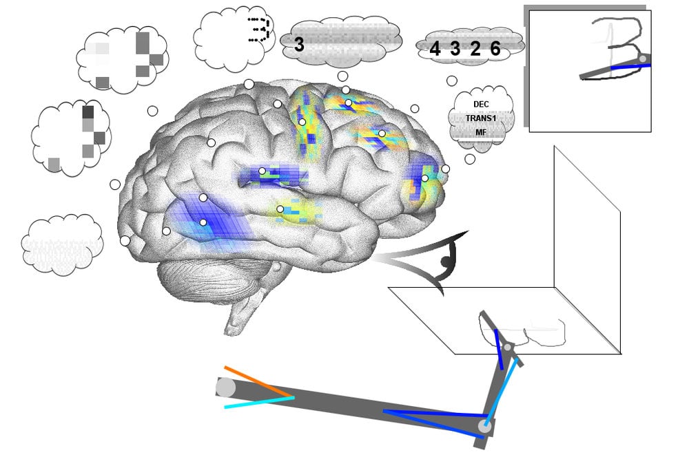 Il controllore del braccio del modello funzionale di cervello umano più grande del mondo è stato costruito con MapleSim